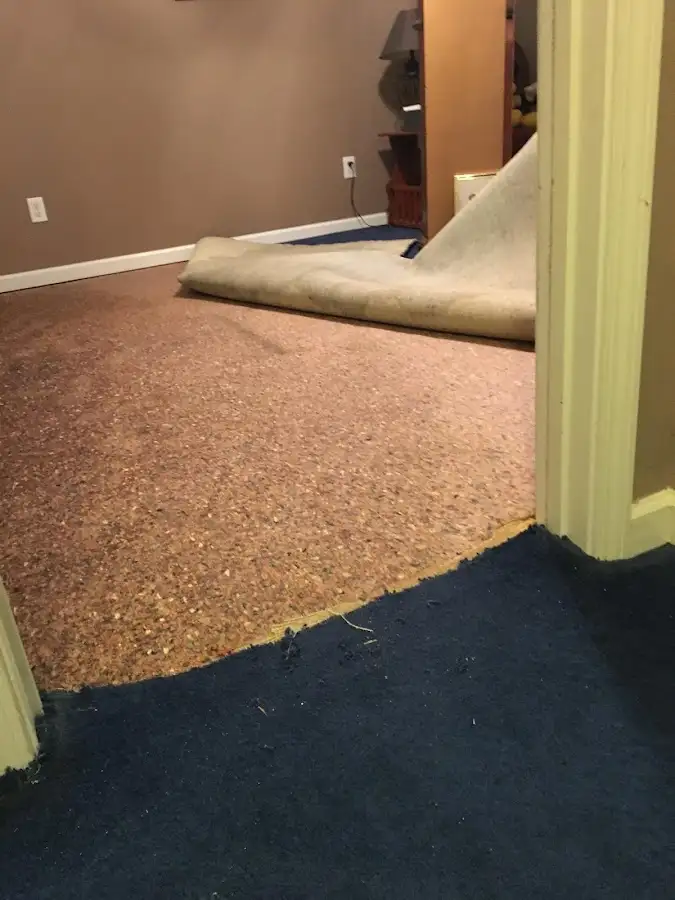 Carpet pad removal revealing water damage during Drying & Dehumidification in New Bern