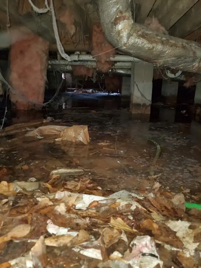Crawl space flood assessment for Commercial Water Damage Restoration in New Bern