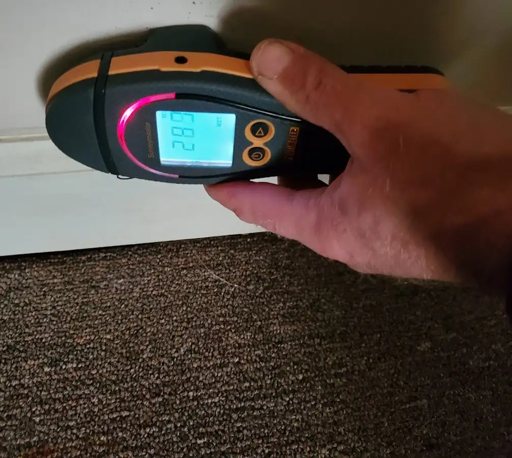 Moisture detection at baseboard during Sewage Cleanup & Sanitation in New Bern